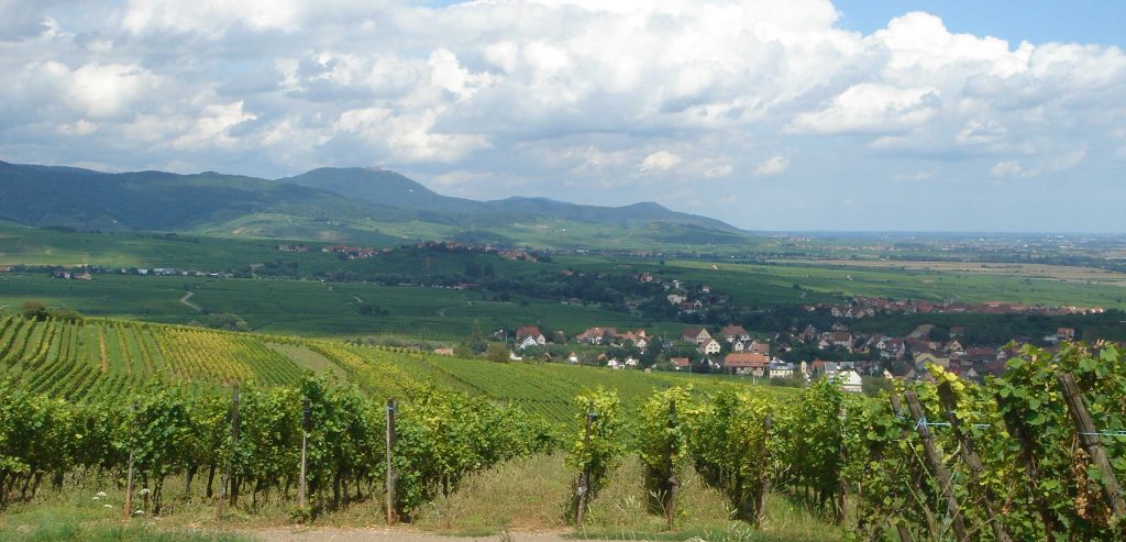 Balade dans les Vosges - Association les Sentiers de Soie