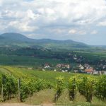 Balade dans les Vosges - Association les Sentiers de Soie