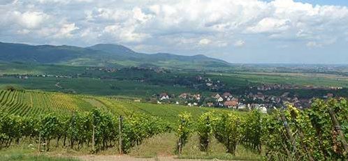 Balade dans les Vosges - Association les Sentiers de Soie