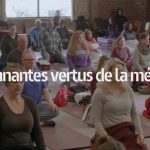 film vertus meditation