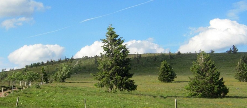 Balade dans les Vosges - Association les Sentiers de Soie